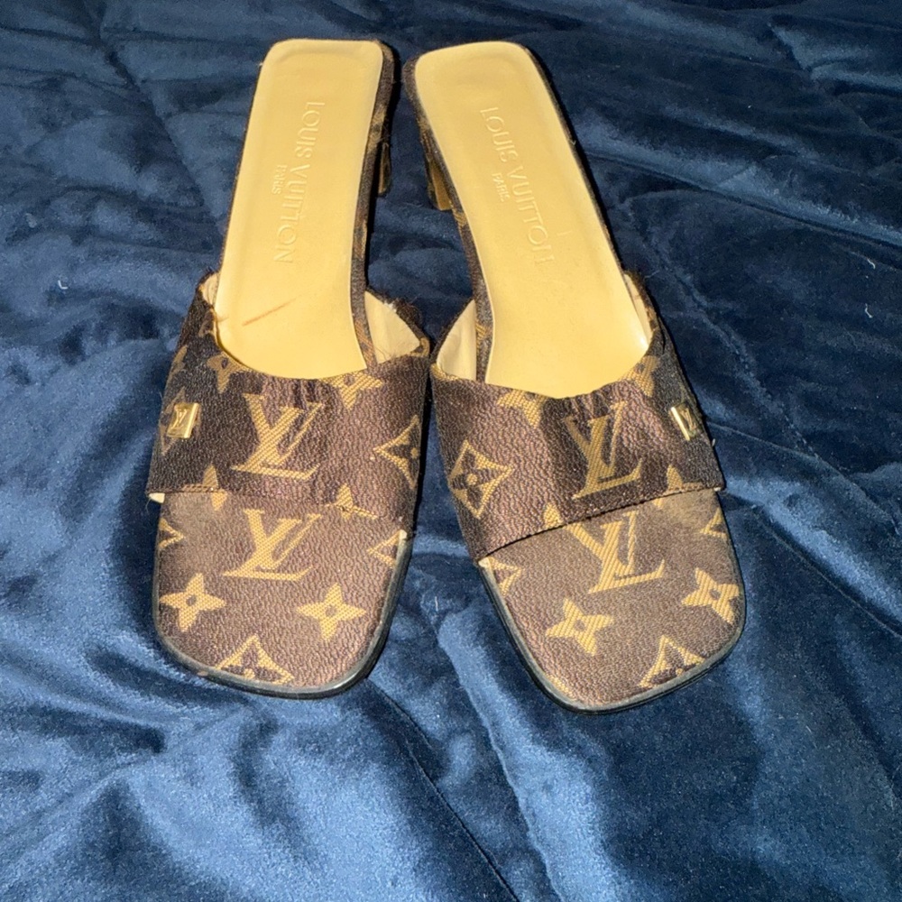 Louis Vuitton Brown Women's Shoes